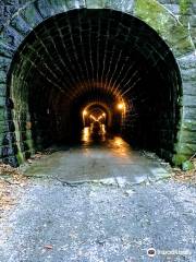 Mt. Amagi Tunnel (Former Amagi Tunnel)