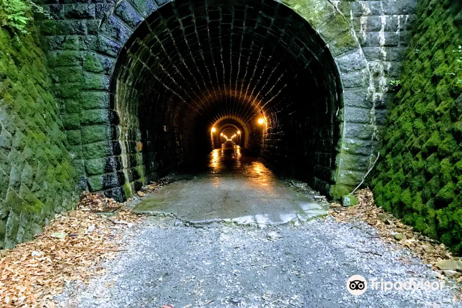 天城山隧道 (旧天城トンネル)