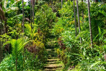 East Khasi Hills