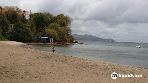 Plage de Madiana