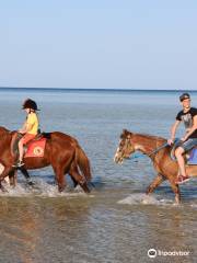 Hurghada Equestrian