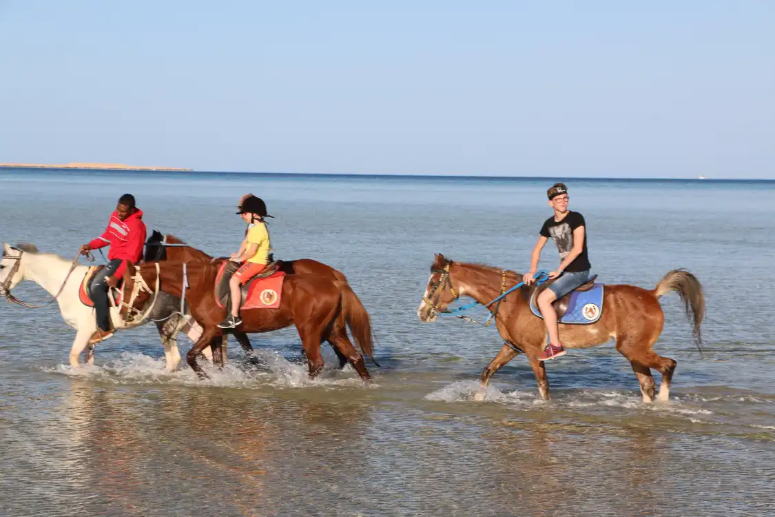 Hotels near Hurghada Equestrian