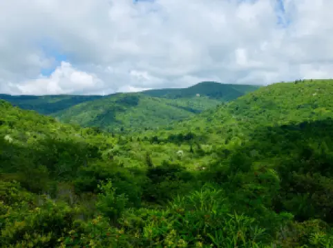 Pisgah National Forest