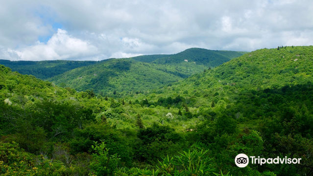 Pisgah National Forest