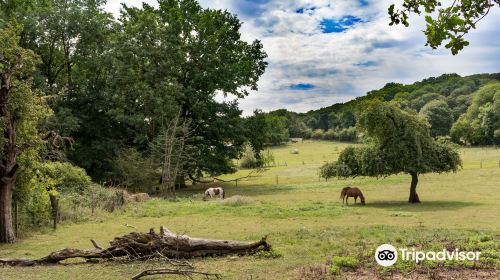 Ferme d'Ecancourt