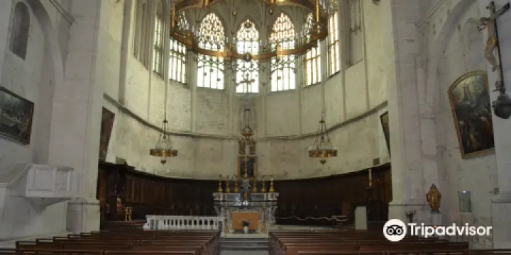 維維耶主教座堂