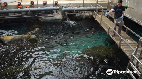 克里特水族館