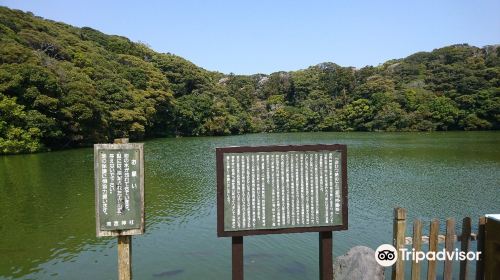 桜ヶ池