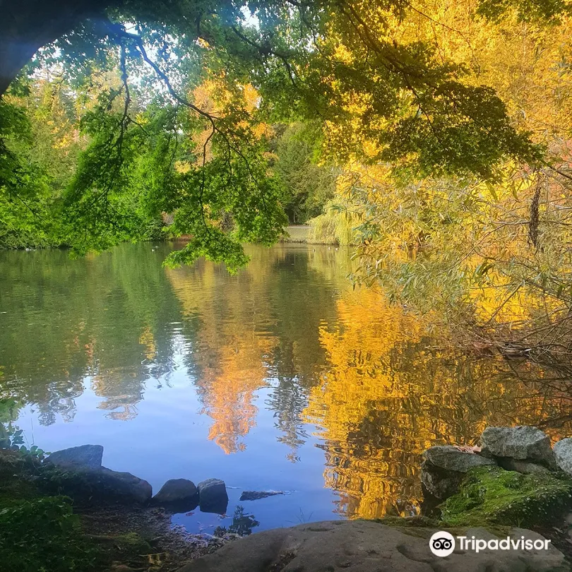 2_Central Park