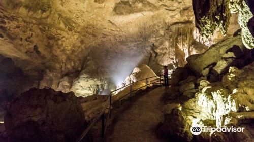 Rio Camuy Cave Park