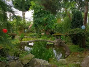Pure Land
