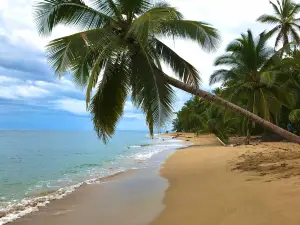 Punta Uva Beach