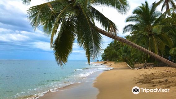 Playa Punta Uva