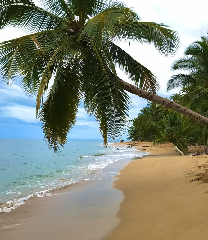 Punta Uva