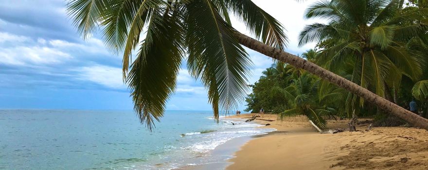 Punta Uva Beach