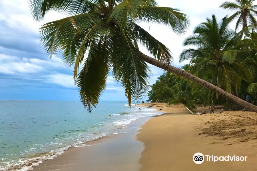 Punta Uva Beach