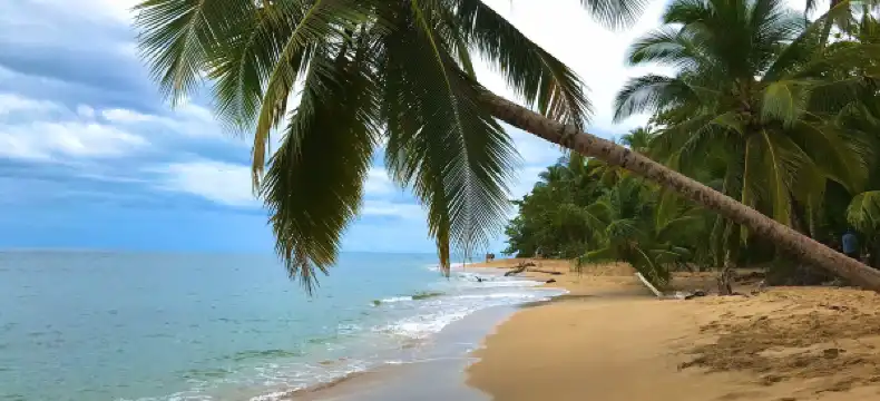 Hotels in Punta Uva