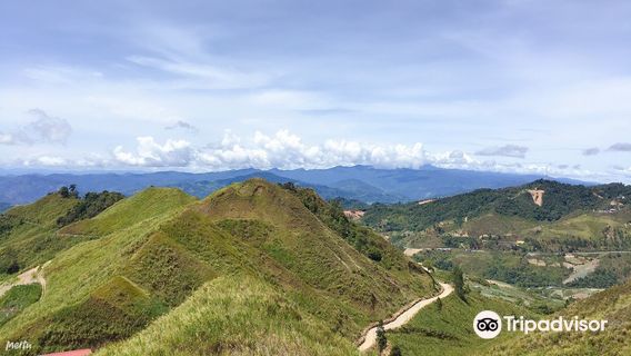 Sosodikon Hill Kundasang