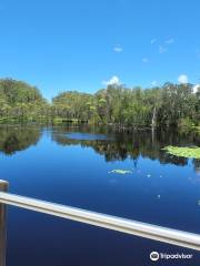 Urunga Wetlands Boardwalk