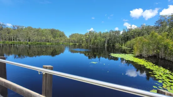 Urunga Wetlands Boardwalk