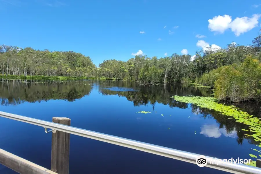 Urunga Wetlands Boardwalk