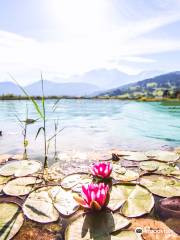 Combloux Ecological Moutain Lake