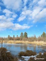 Weaselhead Flats