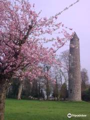 Antrim Round Tower (State Care Monument)