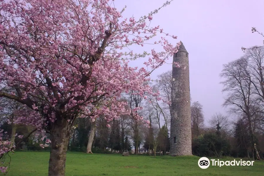 Antrim Round Tower (State Care Monument)