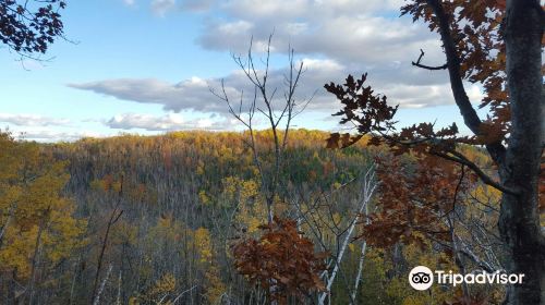 Silver Creek Conservation Area