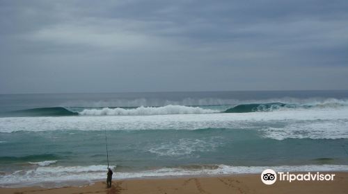 Waitpinga Beach