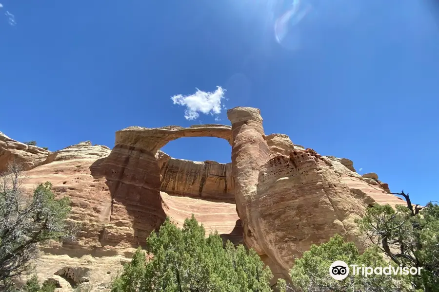 Rattlesnake Canyon