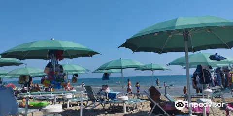 Lido delle Palme