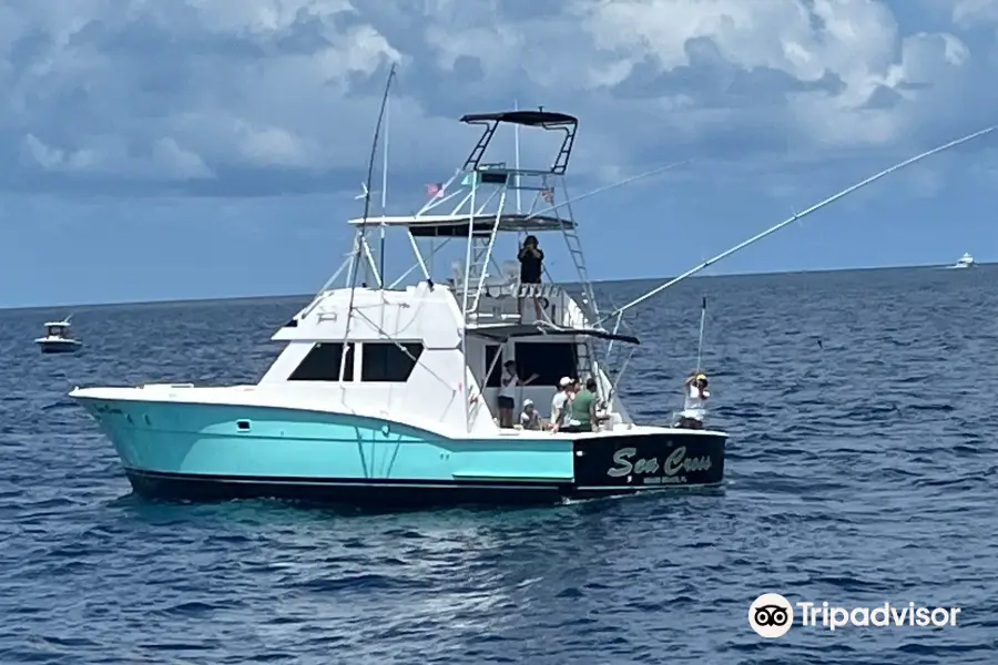 Sea Cross Deep Sea Fishing Miami