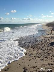 Sandy Neck Barrier Beach