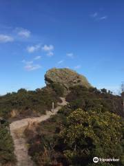 Agglestone Rock