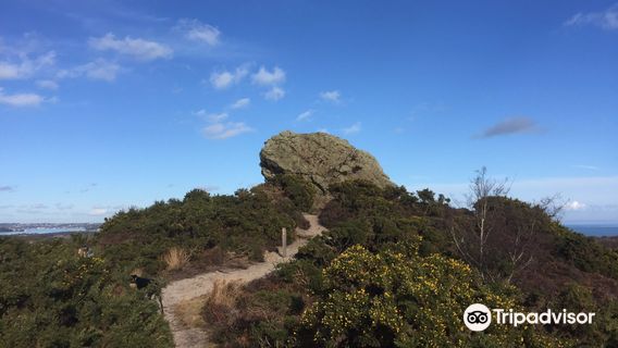 Agglestone Rock