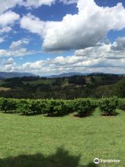 Seville Hill Winery