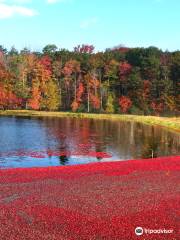 Muskoka Lakes Farm & Winery