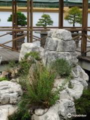 Museo del Bonsai