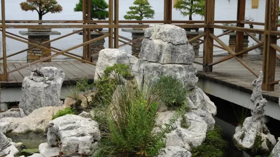 Museo del Bonsai