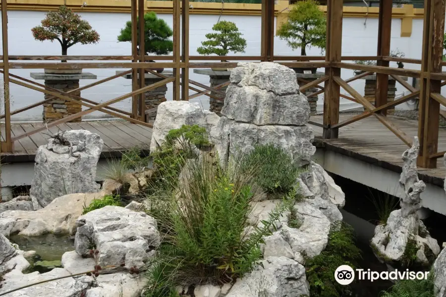 Museo del Bonsai