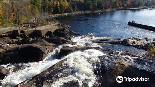 Bracebridge Falls