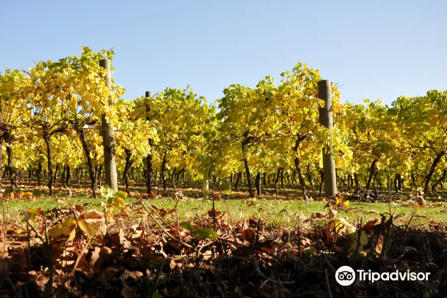 Biddenden Vineyards