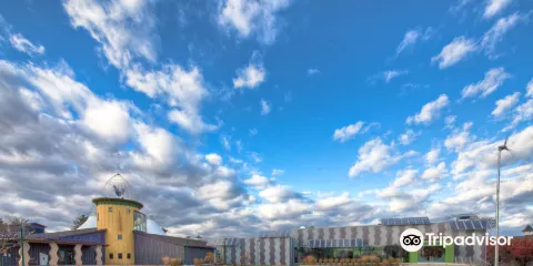 Stepping Stones Museum for Children