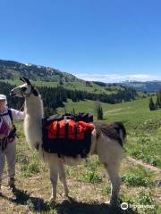 Wildland Llamas