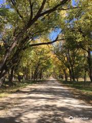 Loess Bluffs National Wildlife Refuge