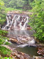 Bebe River Falls
