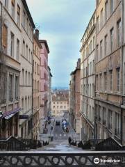 Cybèle - visites insolites à Lyon
