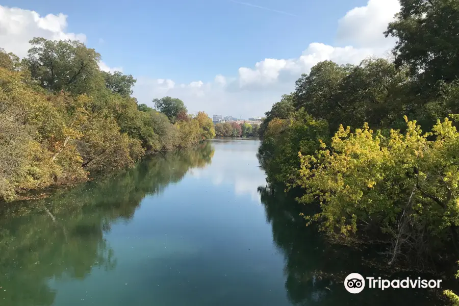 Barton Creek Greenbelt